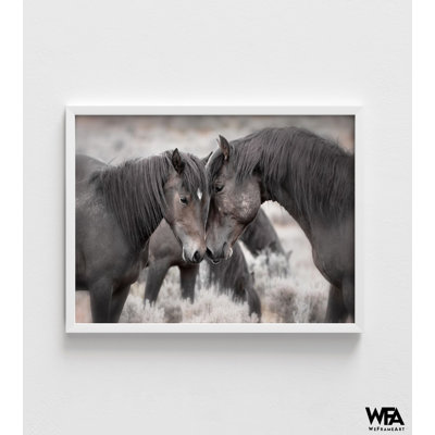 Chevaux, reproduction murale de photo, décoration murale équestre encadrée, art mural chevaux sauvages, photographie d'art cheval, art mural encadré, art mural surdimensionné 44171