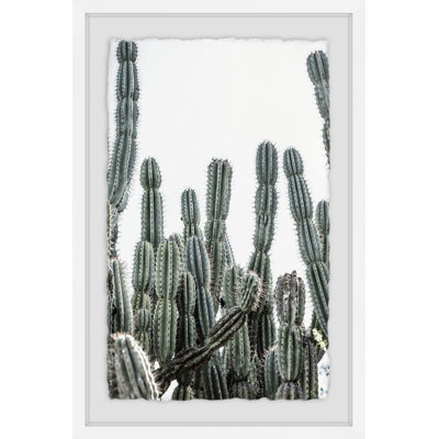 Cactus Jungle II 1 Piece Single Picture Frame Wall Art