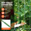Plant Support