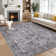 Machine Washable Rug Non-Shedding Rug for Living Room Low Pile Throw Rug Indoor Carpet Ultra-Thin Floor Cover for Bedroom Dining Room Office Playroom