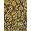 Sunny Starshine Print by Tanna Gx-89101123