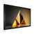 Gold Picture Framed Canvas