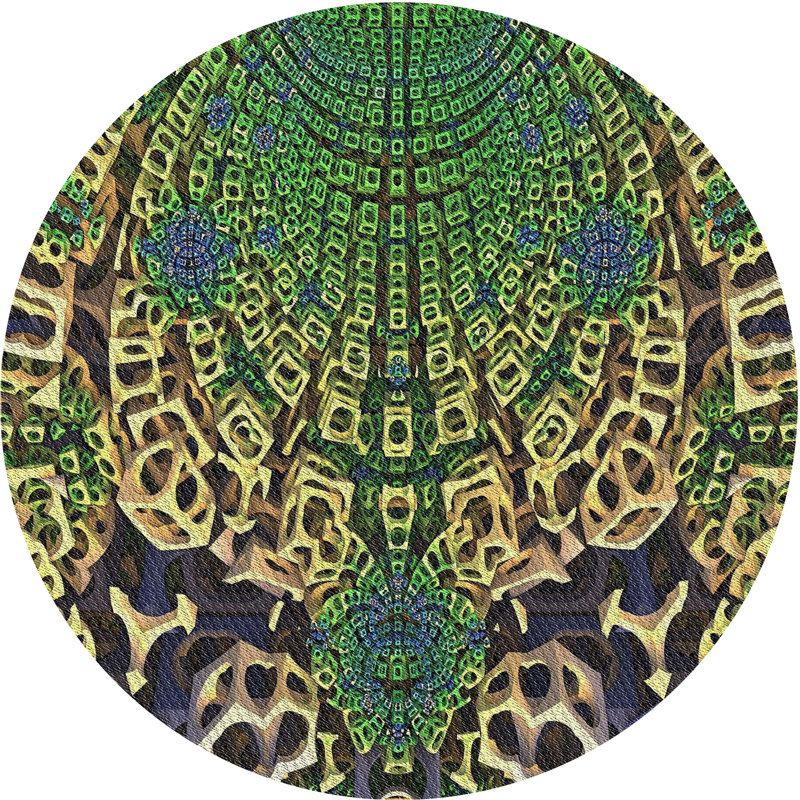 Indoor Rug, Round 4'