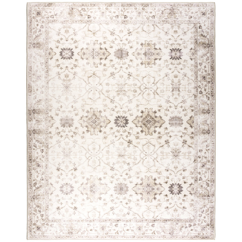 Nainika Bev Distressed Machine Washable Area Rug, Rectangle 4' x 6', Beige