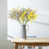 Blanc / vert / rouge / jaune