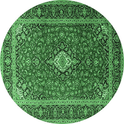 Kaysey Oriental Indoor Rug