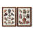 " Collected Shells V " 2 - Pieces-1591276923-1591276913-1591435730