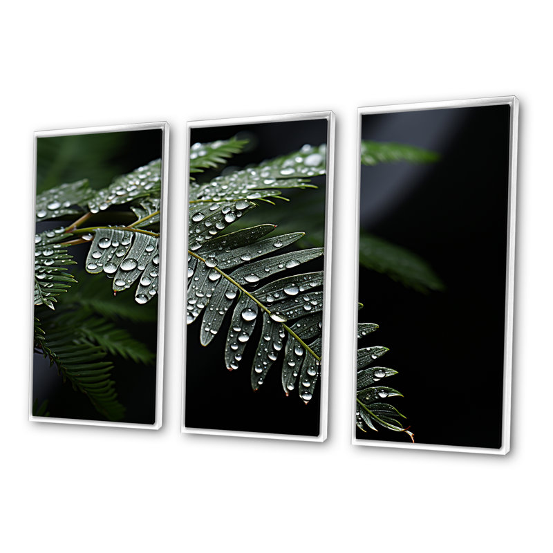 Ferns Charm In Winter - Ferns, ensemble d'art sur toile, H 28 po x l 36 po x P 1 po, Cadre flottant blanc