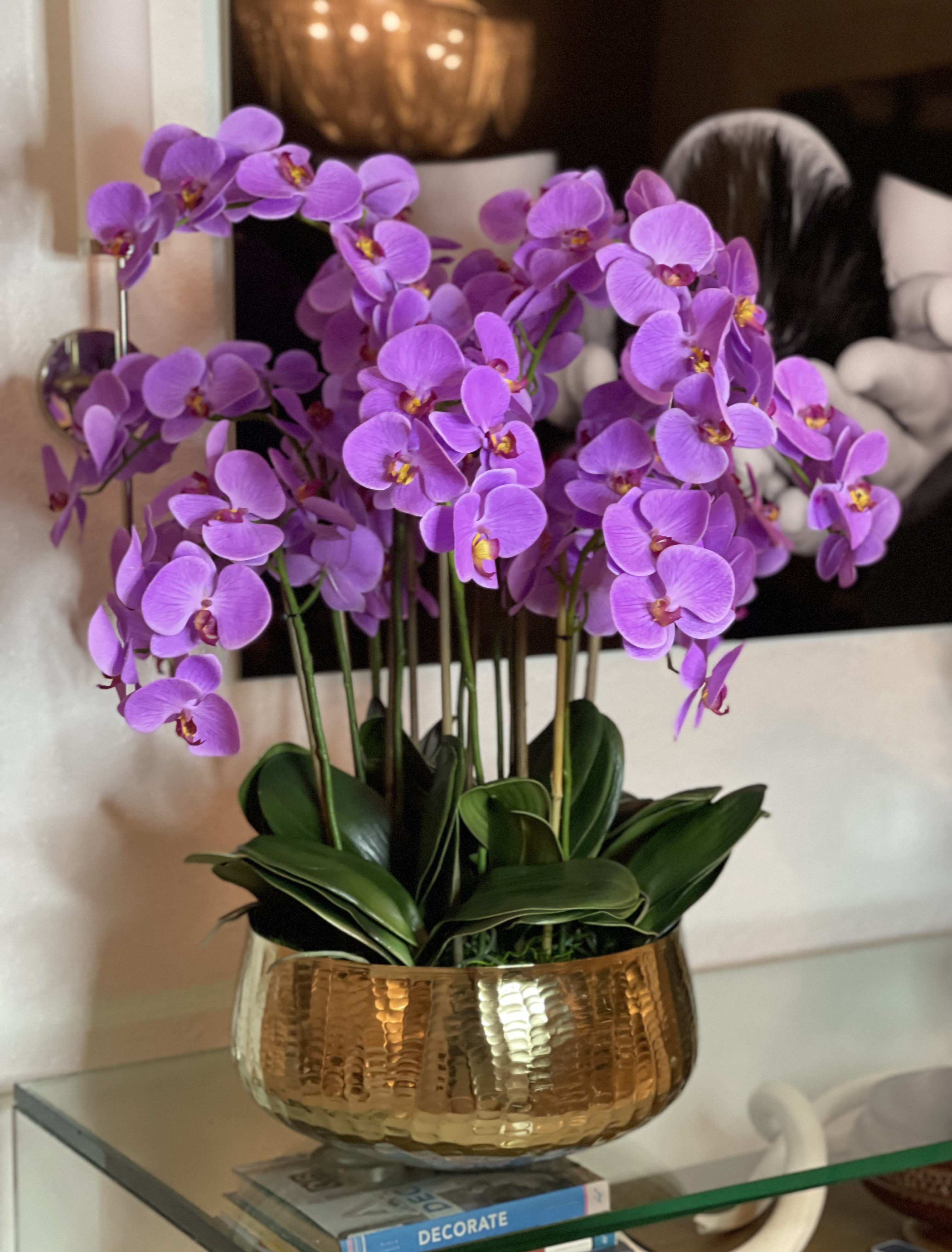 Primrue Orchid Floral Arrangement in Planter | Wayfair