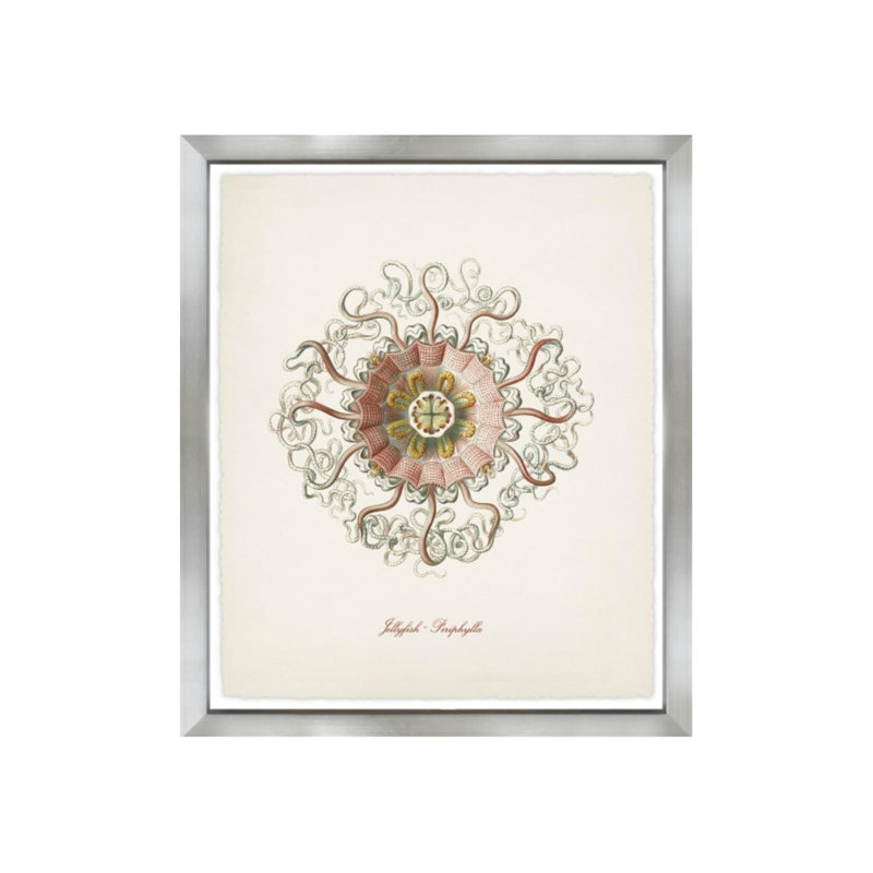 Nautical Art VI Print by Sofia Fox, Outdoor, 28" H x 24" W x 1.5" D x 1.5" D
