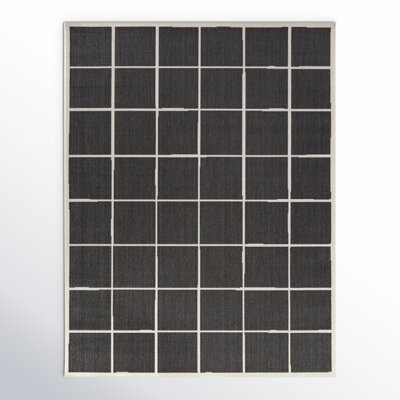 Indoor / Outdoor Rug