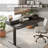 Momoyo Adjustable Height Desk with Drawers-1578207757