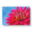 The Pink Flower - Wrapped Canvas Print-61851175