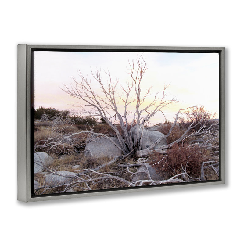 Cadre flottant Rocky Foothills Terrain, design par Gemma Bardot, Cadre flottant gris lustré, H 21 po x l 31 po