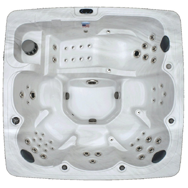 6-Person 78-Jet Hot Tub with Stainless Jets and Ozone System