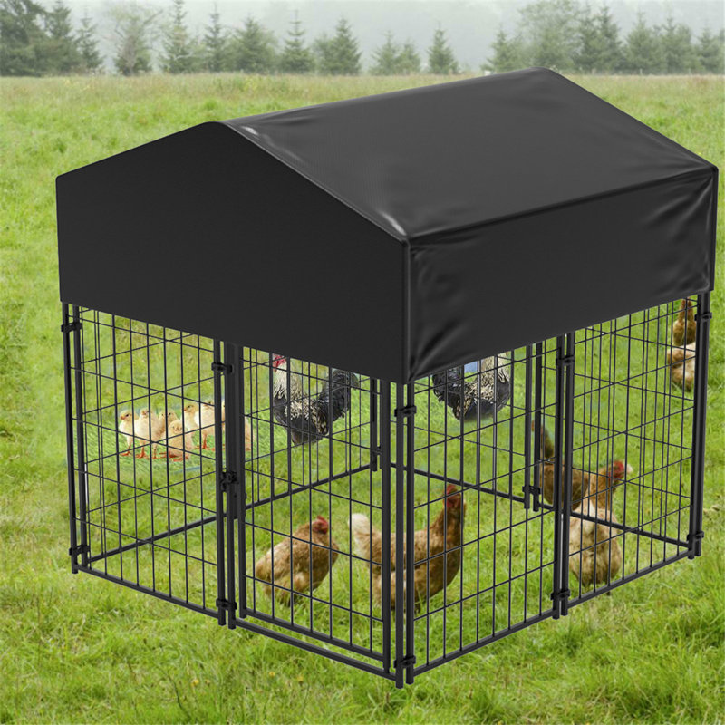 Enclos pour chien robuste