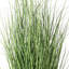 Gazon vert en pot Kellan-22996676