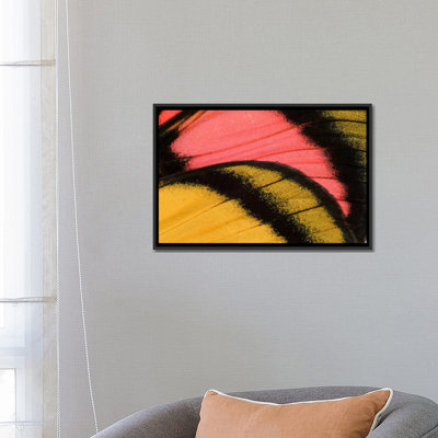 « papillon xxxv macro-photographie », reproduction de photo sur toile