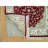 Celene One-of-a-Kind Rectangle 2'7" X 4'1" New Age Wool Area Rug Red