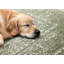 Tapis traditionnel vert Manzelli-987453253