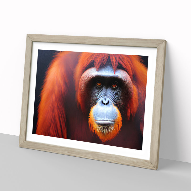 Enviable Orangutan - Single Picture Frame Print, Oak, 46cm H x 64cm W x 2cm D