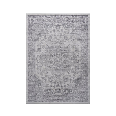 Collection Silver / Oriental Area Rug