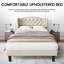 Tamber Upholstered Bed-1675618082