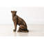Figurine rétro de guépard pour la décoration intérieure