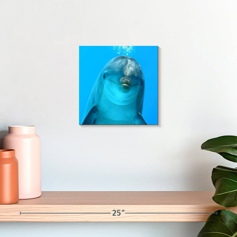 Brampt Dolphin Encounter, H 10 po x l 10 po