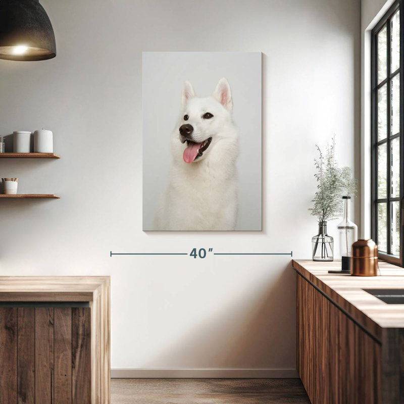 Husky sibérien blanc, H 39 po x l 26 po
