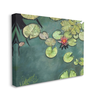" Pond Lily Lotus Blossom Floating Peaceful Botanicals " by David Stribbling Painting Print