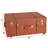 Accent Trunk in , Tan/Brown