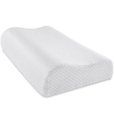 Sealy Essentials 20 in. x 15 in. Contour Curve Memory Foam Standard Pillow  F01-00787-CP0 - The Home Depot