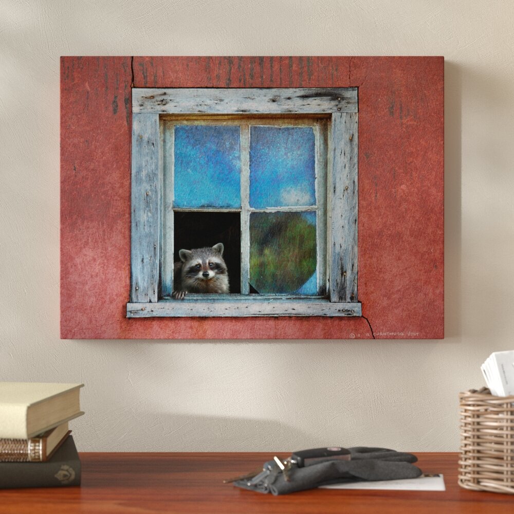 Millwood Pines Raccoon Window On Canvas by Chris Vest Print | Wayfair