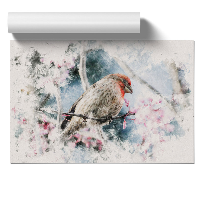 A House Finch Bird Watercolour - Frameless Print, 42cm H x 59cm W x 0.1cm D