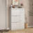 Versatile Freestanding Shoe Cabinet with Multiple Storage Options for Neatness