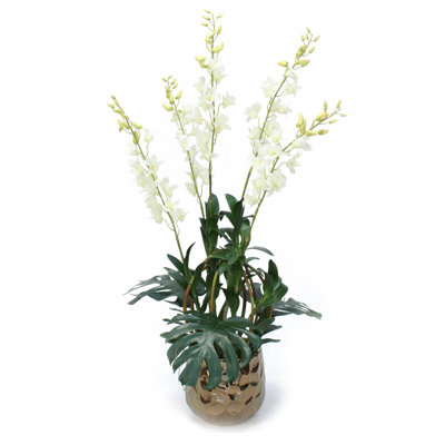 Plante à feuillage dendrobium dans un pot de fleurs