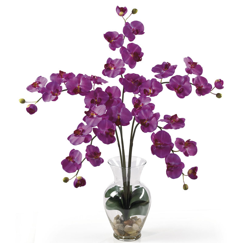 Orchids Arrangement in Vase, Dark Purple
