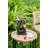 8.3X4.7X13.8" Decorative Woodland Gnome Water Fountain With LED Light