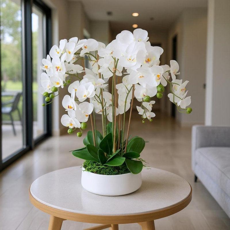 Arrangement d'orchidées dans un vase rond en céramique