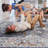 8X10 Blue Area Rug - Non-Shedding, Stain , Bedroom, Living, Dining Space Revitalize-1596507885