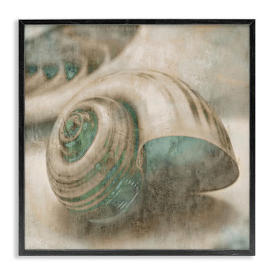 «Centered Sharkeye Seashell Texture patiné bleu clair» par Ziwei Li - impression d'art graphique