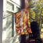 Chat en feuilles d'automne-112700473