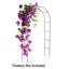 140cm W x 40cm D Metal Arbour in Black