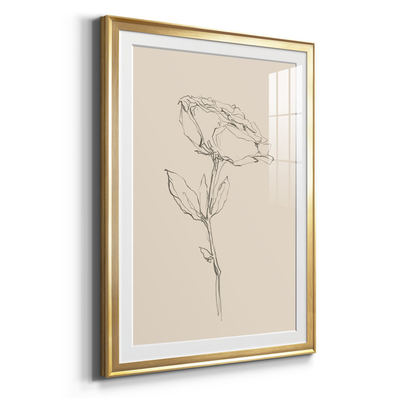 Floral Contour Study IV, reproduction encadrée de qualité supérieure, prête à être accrochée, Cadre doré, Blanc