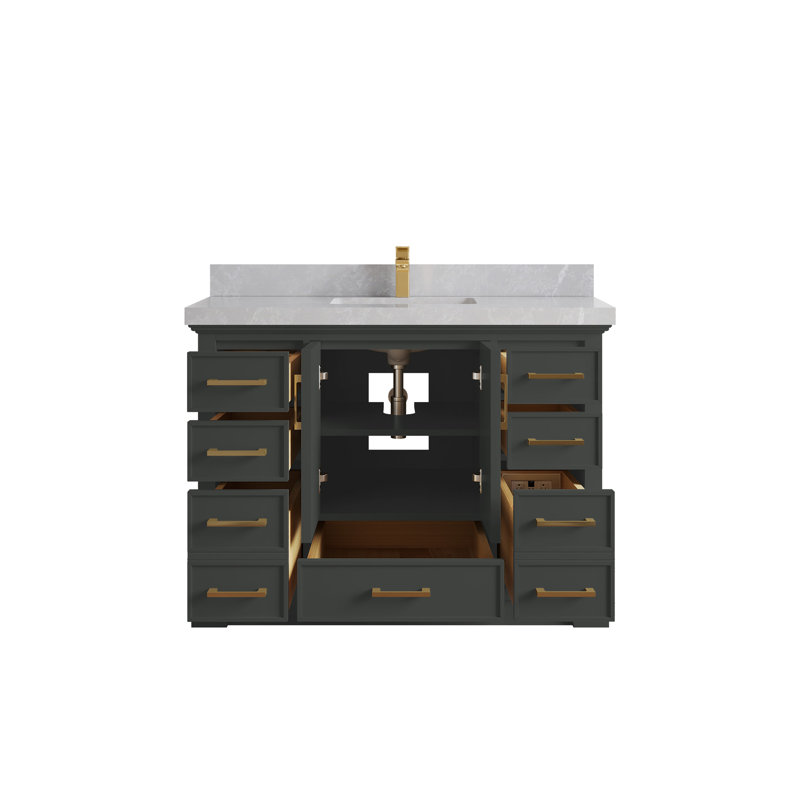 Charlotte 48'' Single Bathroom Vanity with Top, Pearl Gray
