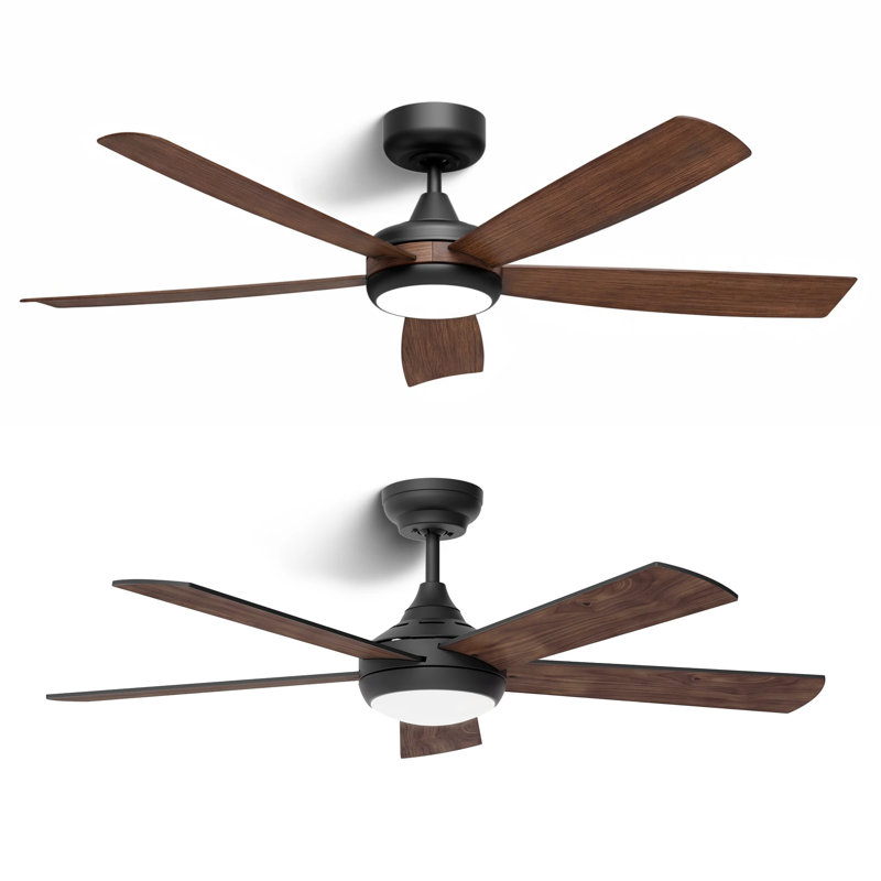 52 " Ceiling Fan, Walnut, Walnut