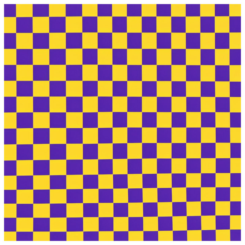 Yellow Purple Checkered Blankets, 50in W x 60in H