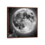 Moonstruck by Jason Brueck - Floater Frame Print on Canvas-1104257806-1104257807
