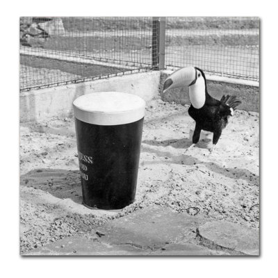" Guinness XVII " by Guinness Brewery